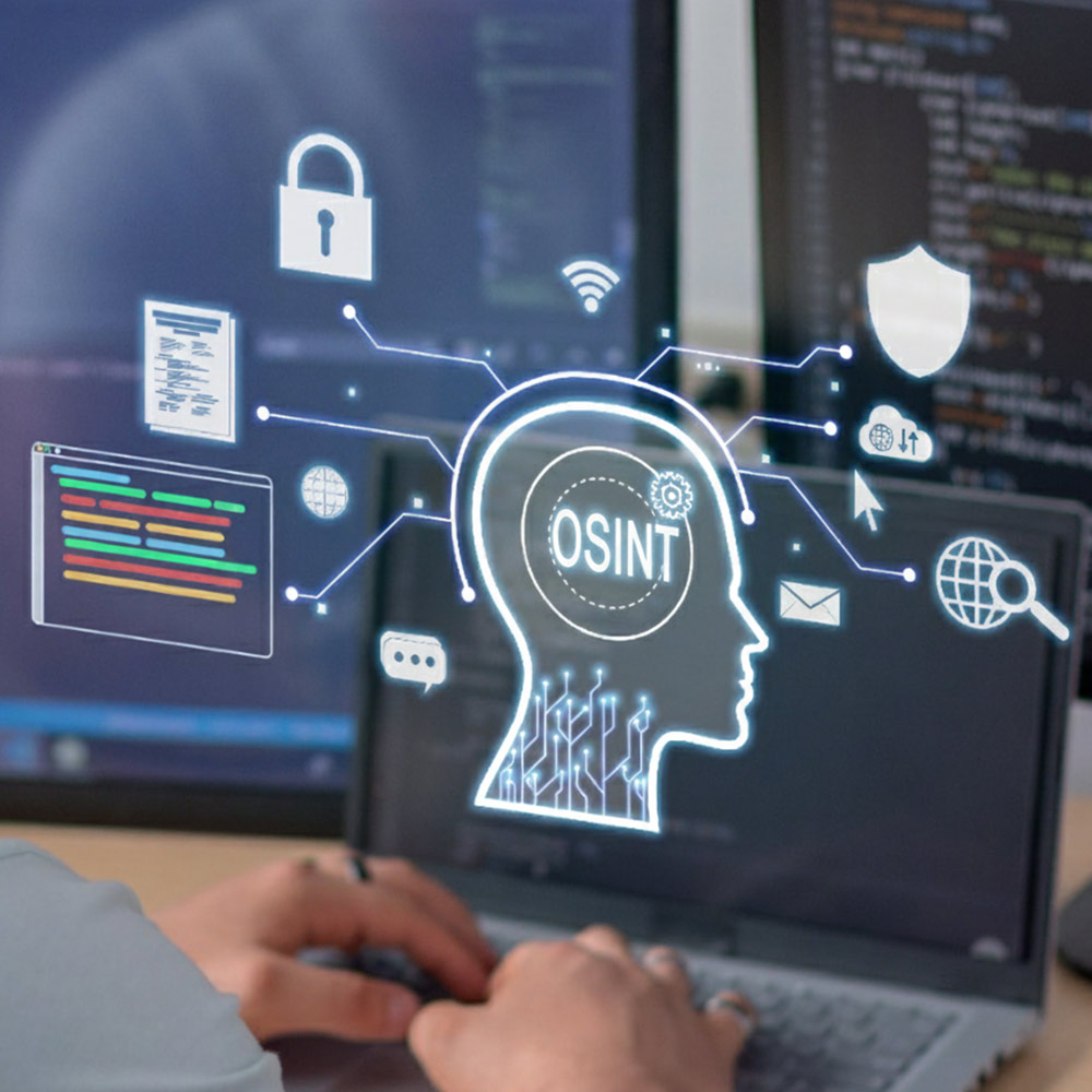 sap investigazioni osint
